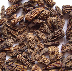 廣元山菇 綠色珍寶，品味自然之韻